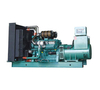 Tuchao diesel generator set